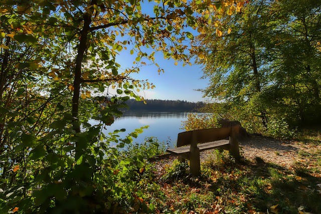 更是充满活 更是充满活