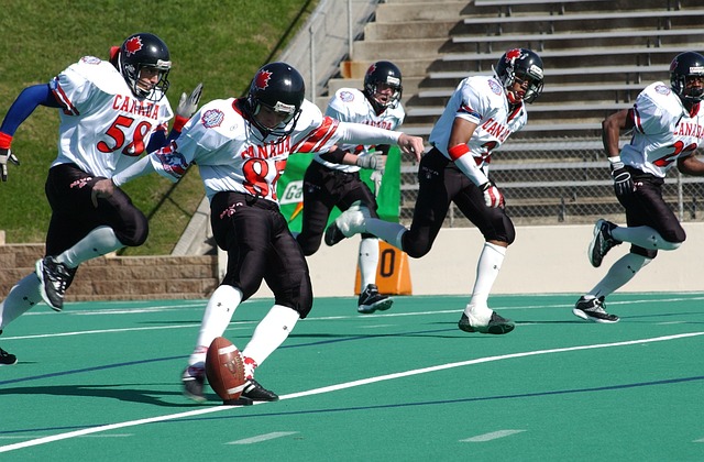 仅有传统的 仅有传统的