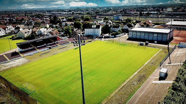 一个细微的 一个细微的