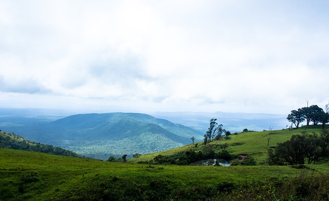 長期成功奠 長期成功奠