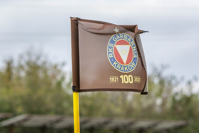 星赛中的技 星赛中的技