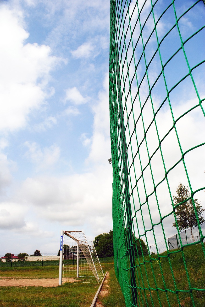 你同样可以 你同样可以