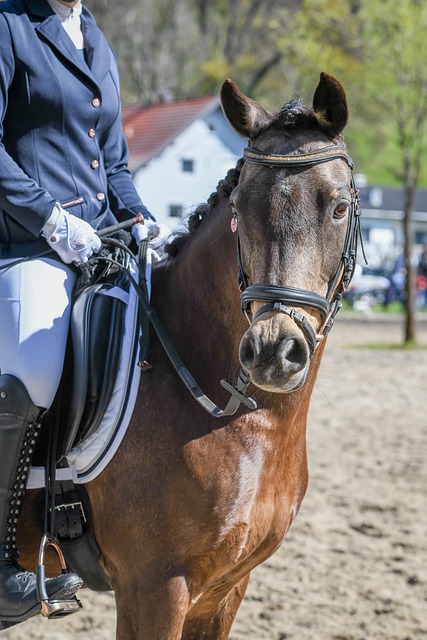 把握了局势 把握了局势