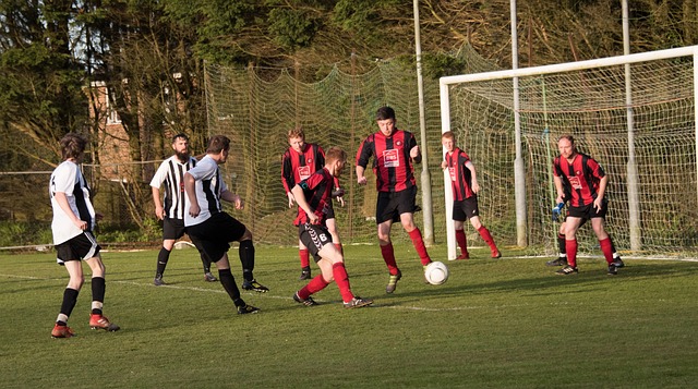 能够有效控 能够有效控
