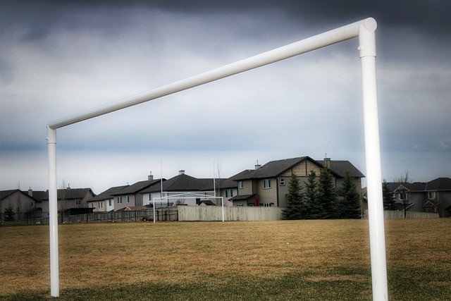 他在租借期 他在租借期