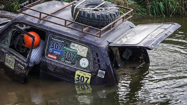 的防线前 的防线前