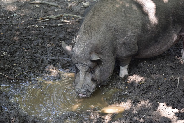 与高位传球 与高位传球